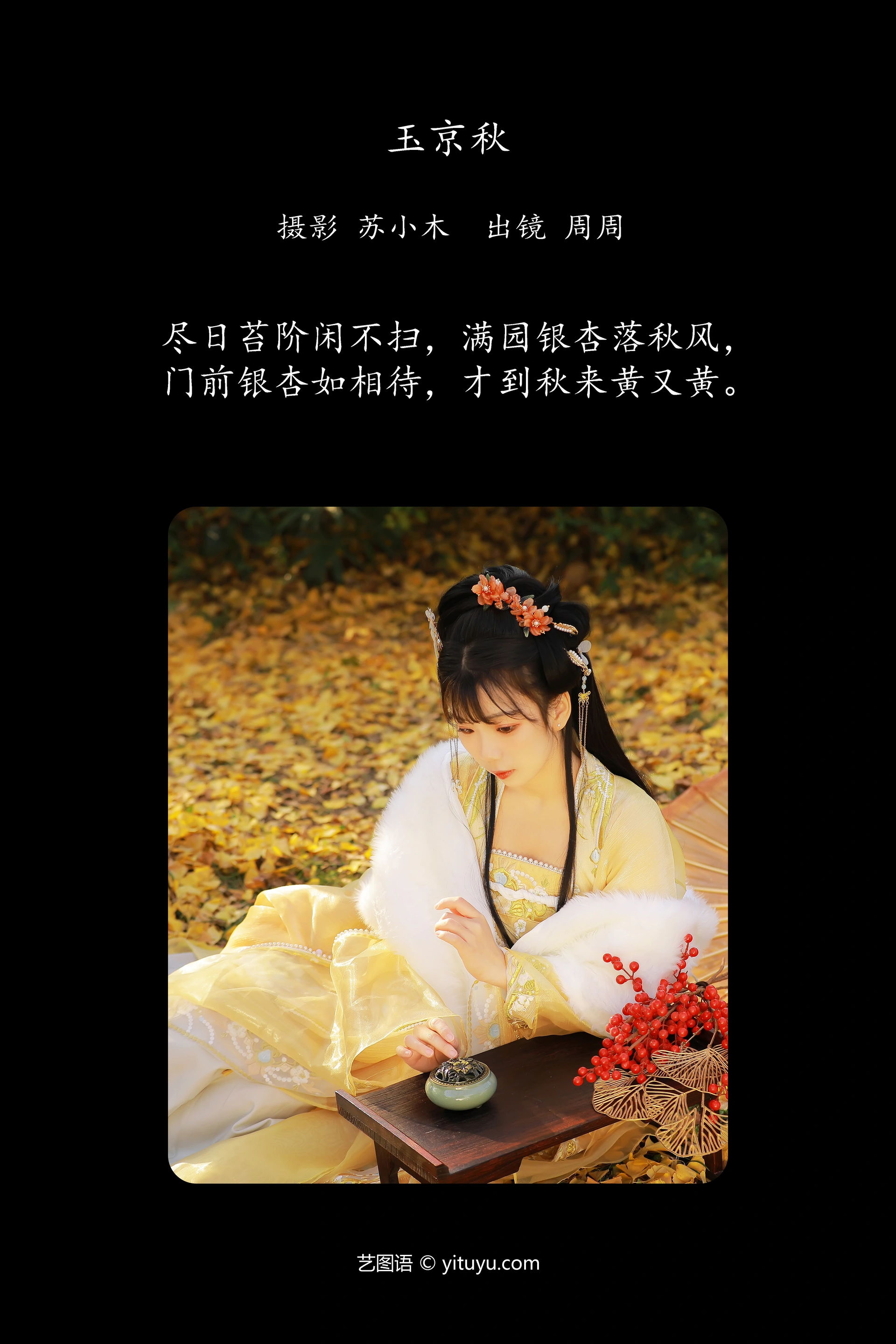 [YITUYU艺图语]2024.10.20 玉京秋 周周Ay 0